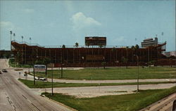 Gator Bowl Postcard