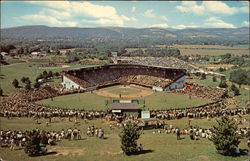 Little League Baseball, Howard J. Lamade Memorial Field Williamsport, PA Postcard Postcard