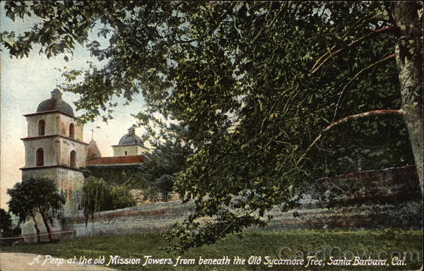 Peep at the old Mission Towers from beneath the Old Sycamore Tree Santa Barbara California