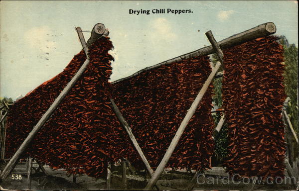 Drying Chili Peppers Vegetables