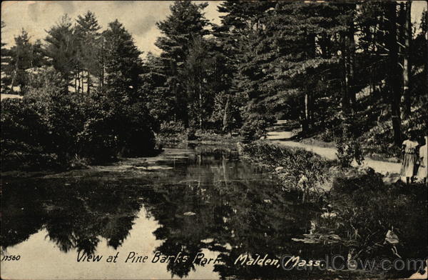 View at Pine Barks Park Malden Massachusetts