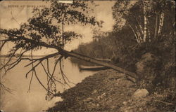Scene at Cass Lake Postcard