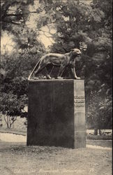 Catamount Monument, Bennington, Vt Postcard