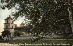 Peep at the old Mission Towers from beneath the Old Sycamore Tree Postcard