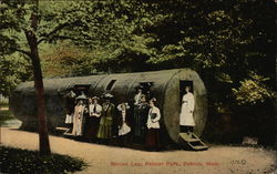 Spruce Log, Palmer Park Postcard