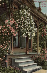 What our California Homes Look Like in Winter What our California Homes Look Like in Winter