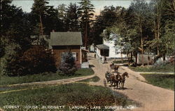 Forest House, Blodgett Landing, Lake Sunapee New Hampshire Postcard Postcard