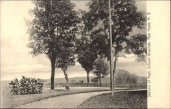 Section of High School Grounds Postcard