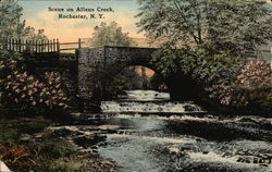 Scene on Allens Creek Rochester, NY Postcard Postcard