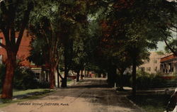 Hopedale Street Massachusetts Postcard Postcard