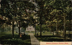 Boston Common Massachusetts Postcard Postcard