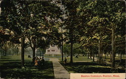 Boston Common Postcard