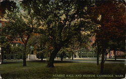 Agassiz Hall and Museum Cambridge, MA Postcard Postcard