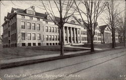 Chestnut St. School Springfield, MA Postcard Postcard