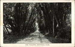 The Willows Postcard