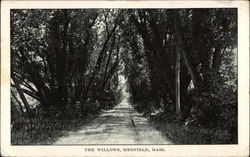 The Willows Medfield, MA Postcard Postcard