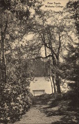 Point Tupelo Wellesley College Postcard