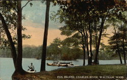 Fox Island, Charles River Fox Island, Charles River
