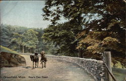 Bear's Den Road Postcard