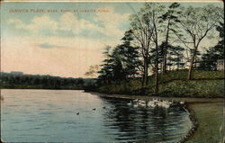 Fowl at Jamaica Pond Postcard