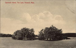 Spectacle Island, The Lake Postcard
