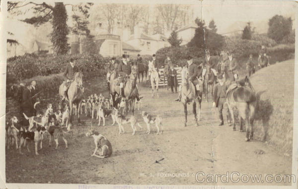 W. S. Foxhounds Charger Luxborough Events