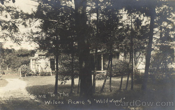 W. S. Wilcox Picnic at Wildwood Bergen New York