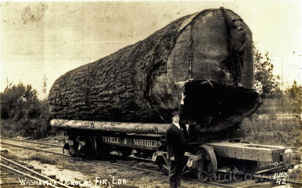 Washington Logger Fir Log Railroad
