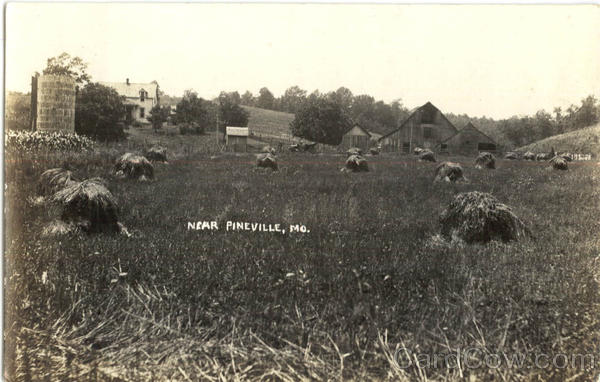 Near Pineville Missouri