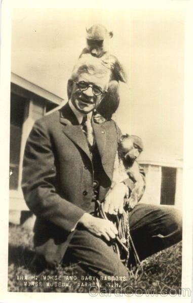 Ira H. Morse And Baby Baboons, Morse Museum Warren New Hampshire