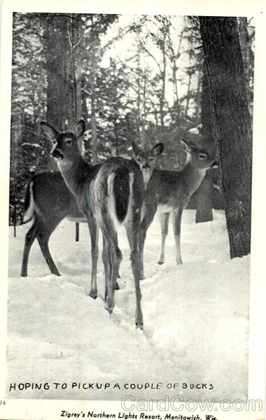 Hoping To Pickup A Couple Of Bucks Deer