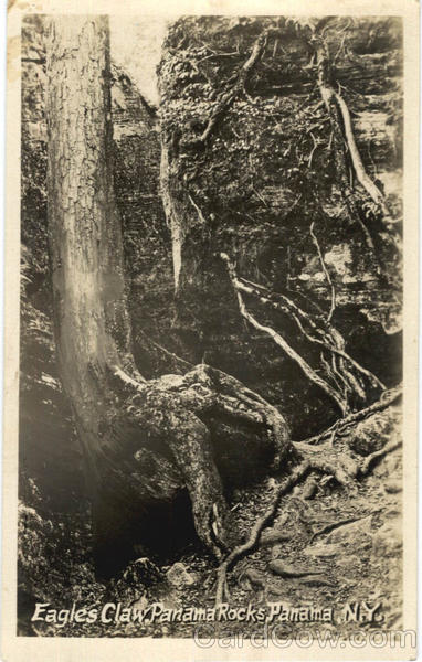 Eagles Claw, Panama Rocks New York