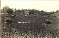Near Pineville Postcard