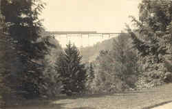 A Bridge surrounded by nature Postcard