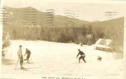 Winter Fun - Skiing Postcard