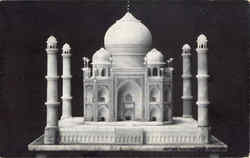 Chicago Natural History Museum Postcard