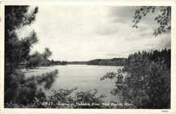 Scene On Fishhook River Park Rapids, MN Postcard Postcard