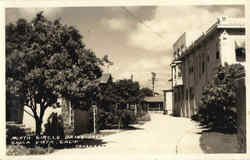 North Circle Drive Postcard