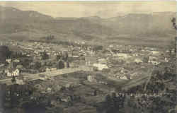 Birds Eye View Postcard