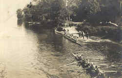 Rowing Race (Crew) Postcard