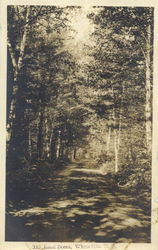 Road Scene Postcard