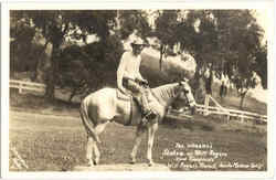 Tex Wheeler's Statue of Will Rogers Santa Monica, CA Postcard Postcard