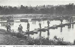The Engineers Build A Bridge While On Maneuvers In Tenn Postcard