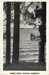 Sunset Lodge Postcard