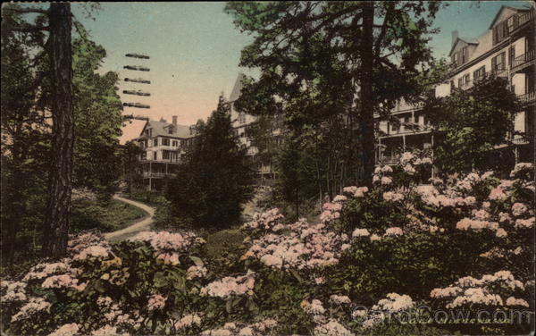 The Wilderness Lake Front in June Lake Minnewaska New York