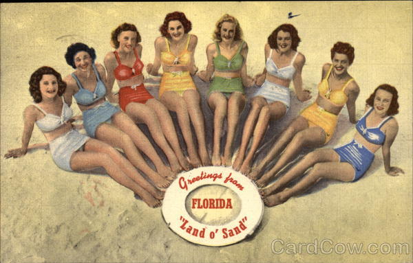 Greetingsfrom Florida Land o' Sand Swimsuits & Pinup