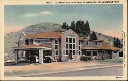 Haynes Picture Shop at Mammoth Yellowstone National Park, WY Postcard Postcard