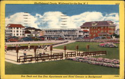 Shuffleboard Courts Wildwood-by-the-Sea, NJ Postcard Postcard