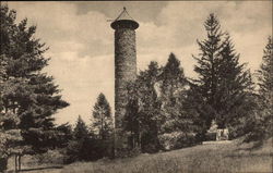 Tower and Old Pine Stump, Dartmouth College Tower and Old Pine Stump, Dartmouth College