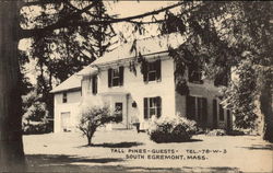 Tall Pines South Egremont, MA Postcard Postcard